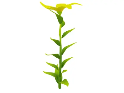 Plant 3D model
