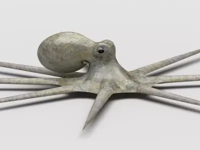 Octopus Devilfish Low-poly 3D model