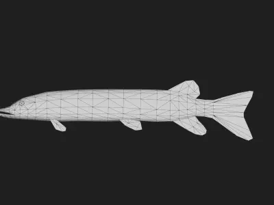 Amurpike Low-poly 3D model