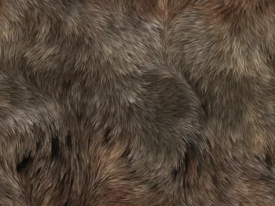 Reindeer Free 3D model