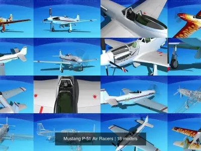 18 Mustang P-51 Air Racers 3D Model Collection