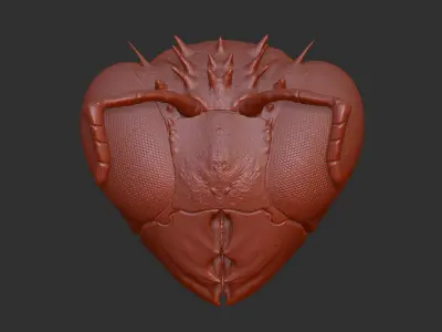 Insect wasp similar-High- end 3D print model highpoly Free 3D print model