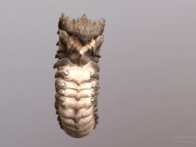SandWorm SandMonster WormBoss Attack   3D model