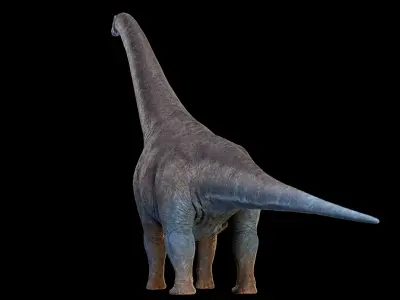 Argentinosaurus Animated 3D model