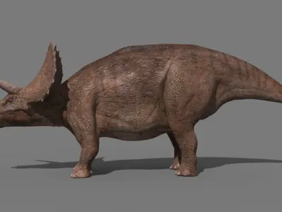 Triceratops Tribute - 8K 3D model