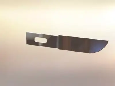 Bull nose blade Free 3D model