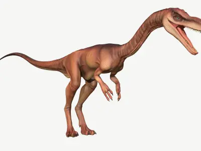 Coelophysis dinosaur Low-poly 3D model