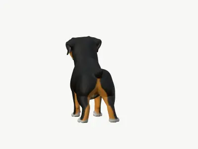 High-Quality Cartoon Appenzeller Dog 3D model