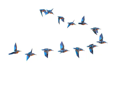 Animated Flock Birds lowpoly art style Low-poly 3D model