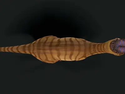 Dracorex Dinosaur Animated Low Poly Low-poly 3D model