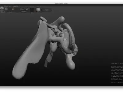 Pentery thoracic vertebra 3D model