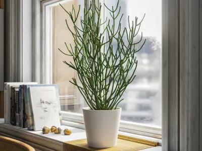  Pencil Cactus Succulent Potted Plant Model 