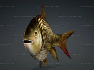 FISH ANIMATED Low-poly 3D model