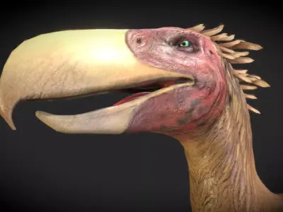 Kelenken V2 Low-poly 3D model