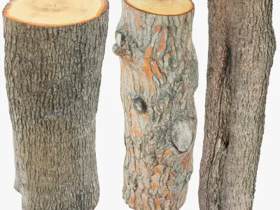 Logs Collection V2 3D model