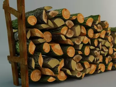 Old Woods Free 3D model