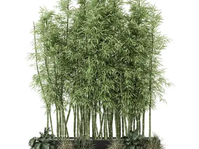 Indoor Plants Bamboo Set in rusty Concrete pots - set 1894 3D model