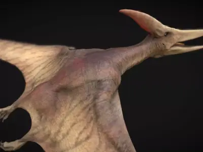 Pteranodon The Winged Ruler of the Cretaceous Skies  Low-poly 3D model