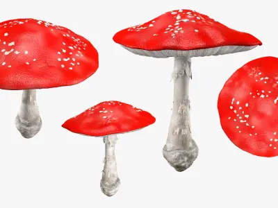 Mushroom Set 3D model