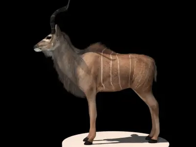 Deer 3d model african antelope 3D model