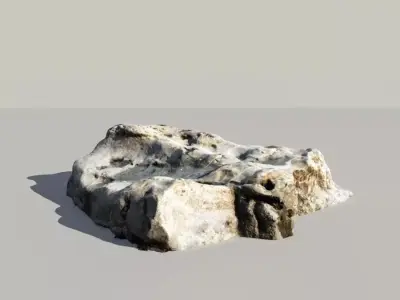 Fossile Whale Bone 3d Scan 3D model