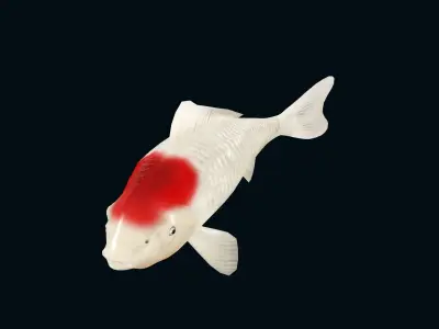 animated carp fish koi Low-poly 3D model