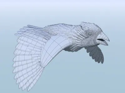 Northern Cardinal - rigged - animated Low-poly 3D model