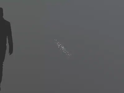 FeatherShoot03 150 Low-poly 3D model