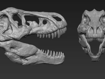 T-rex Skull Free 3D print model