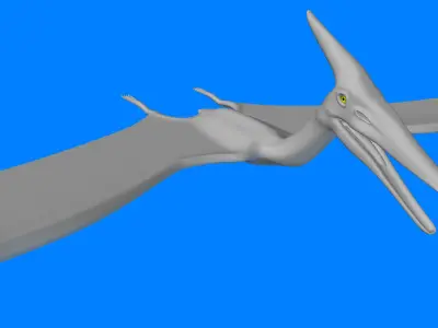 Pteranodon dinosaur flying 3D model