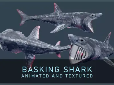 Basking Shark Low-poly 3D model