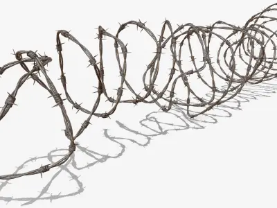 Razor Barbed Wire 3D model