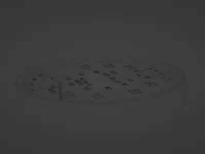 True Air speed indicator 3D model