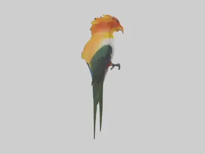 Bird of Paradise Model Low-poly 3D model