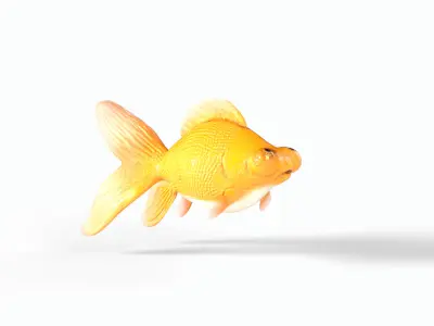 Orange gold fish Low-poly 3D model