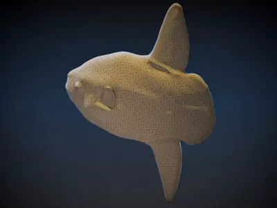 Sun Fish 3D model