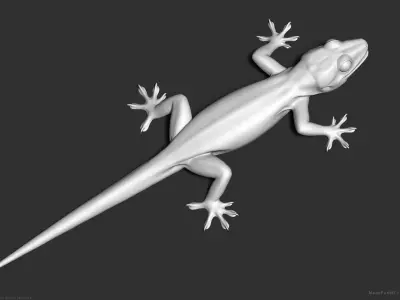 Tropical House Gecko Lizard - Highpoly Model 3D model