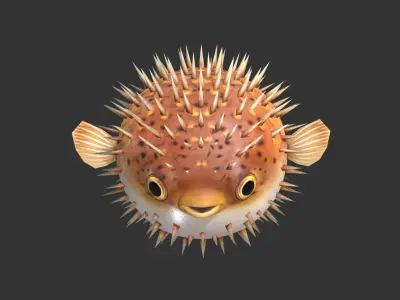  Puffer fish01 Low-poly 3D model