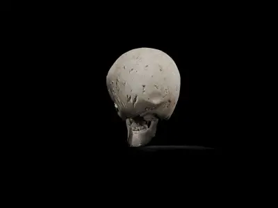 Alien low poly game ready Skull Low-poly 3D model