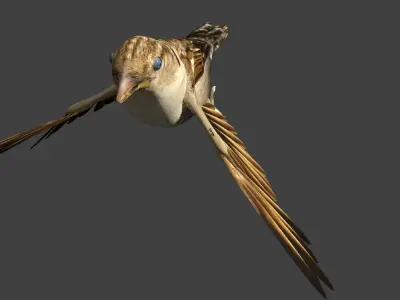 sparrow bird flying in air 3D model