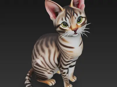 Cat Realistic 3D Model Basic - Low Poly Realistic  Low-poly 3D model