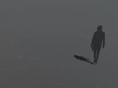 Feather Wind blows 300 feathers Low-poly 3D model