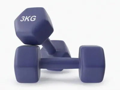 Plastic Fitness Dumbbells 3kg 3D model