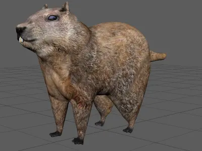 GROUNDHOG Low-poly 3D model