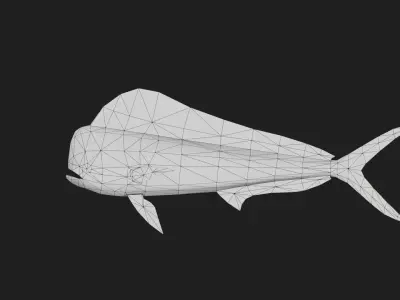 Dolphinfish Low-poly 3D model