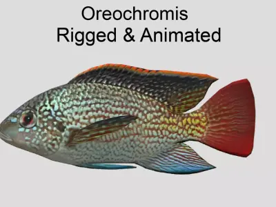 Oreochromis Realistic Animated Low-poly 3D model