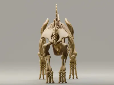 Relistic Mammals Fossil - Woolly Rhino Low-poly 3D model