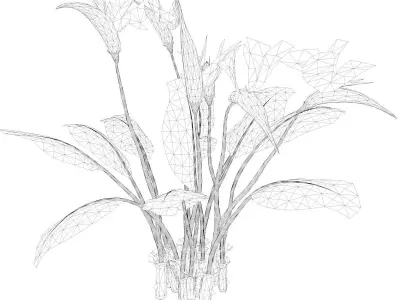 Bird of Paradise Flower - 01 - 3D model