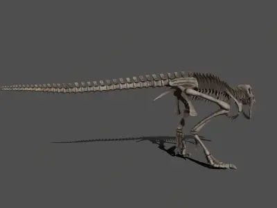 Tyrannosaurus Skeleton 3D model