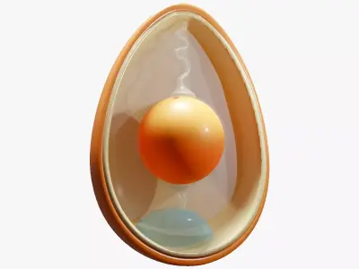 Anatomy Of Bird Egg Low-poly 3D model